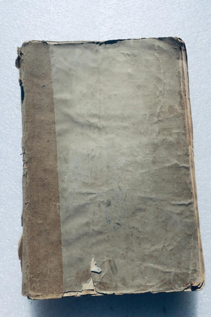 Villefranche, Hauptstadt des Beaujolais, LAPLATTE. Volksgeschichte von..1863
