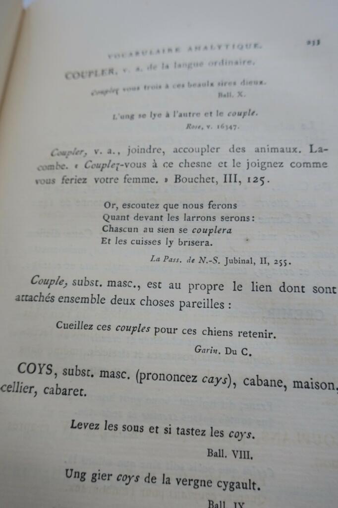 VILLON Le Jargon et Jobelin.. dictionnaire analytique du jargon 1889