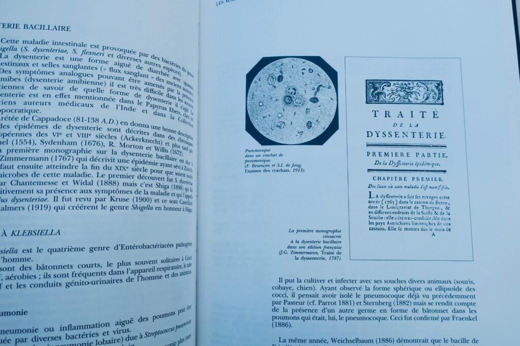Evolution of Infectious Disease Ideas