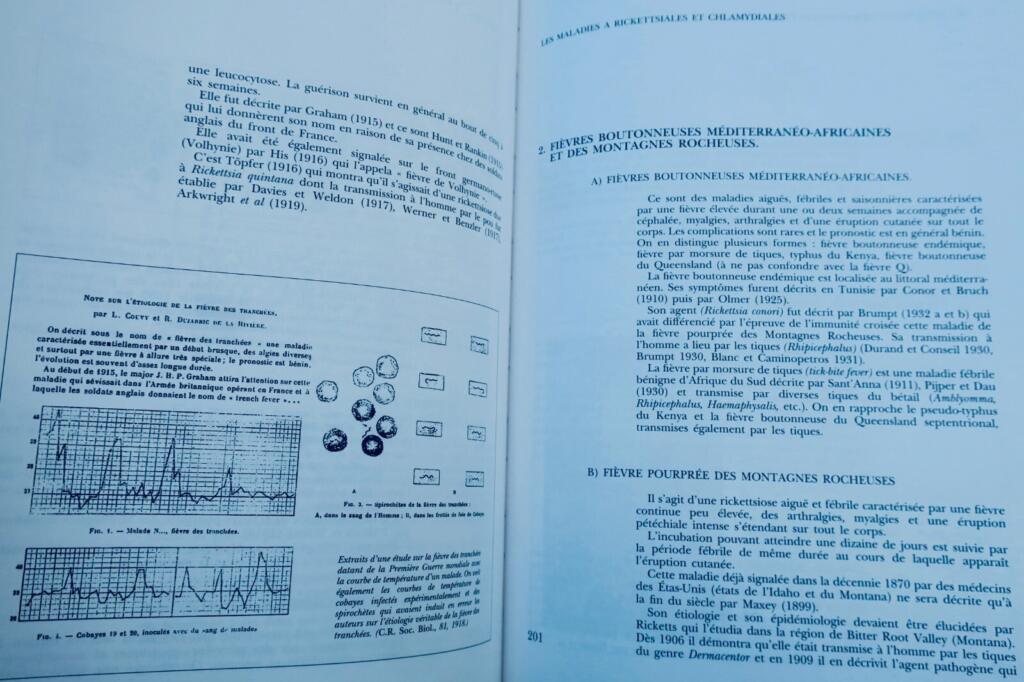 Entwicklung der Ideen zu Infektionskrankheiten
