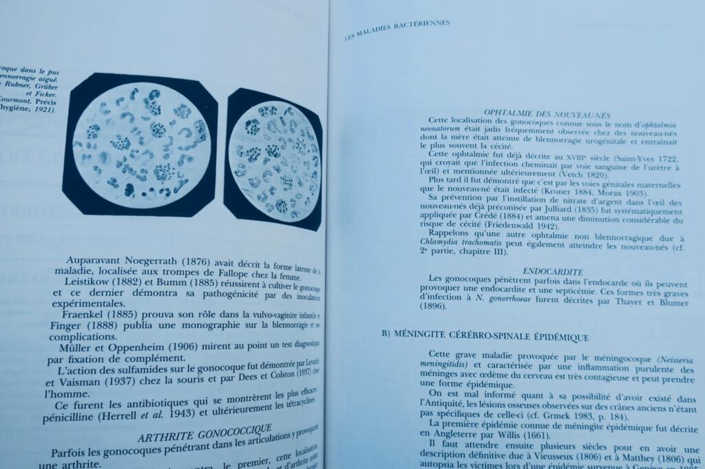 Virus DES MIASMES AUX VIRUS