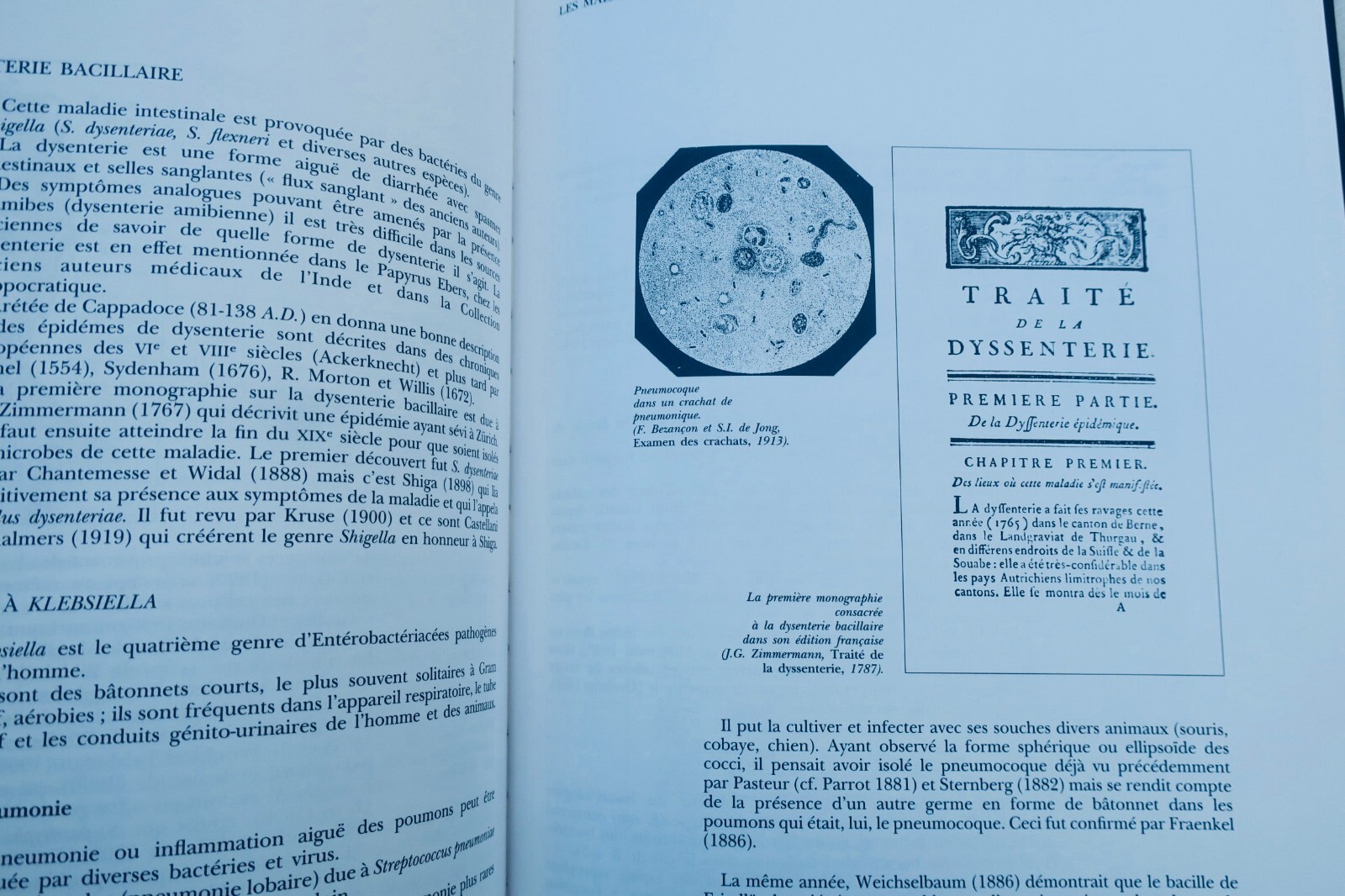 From Miasma to Virus: Infectious Disease History - Image 6