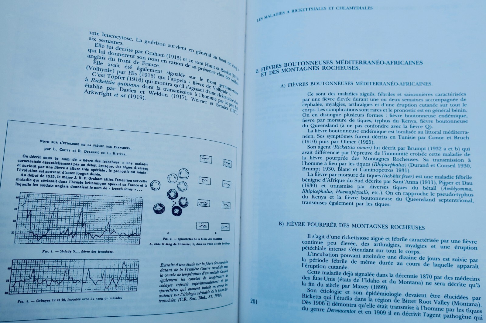 From Miasma to Virus: Infectious Disease History - Image 9
