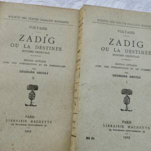 Kritische Ausgabe von Zadig