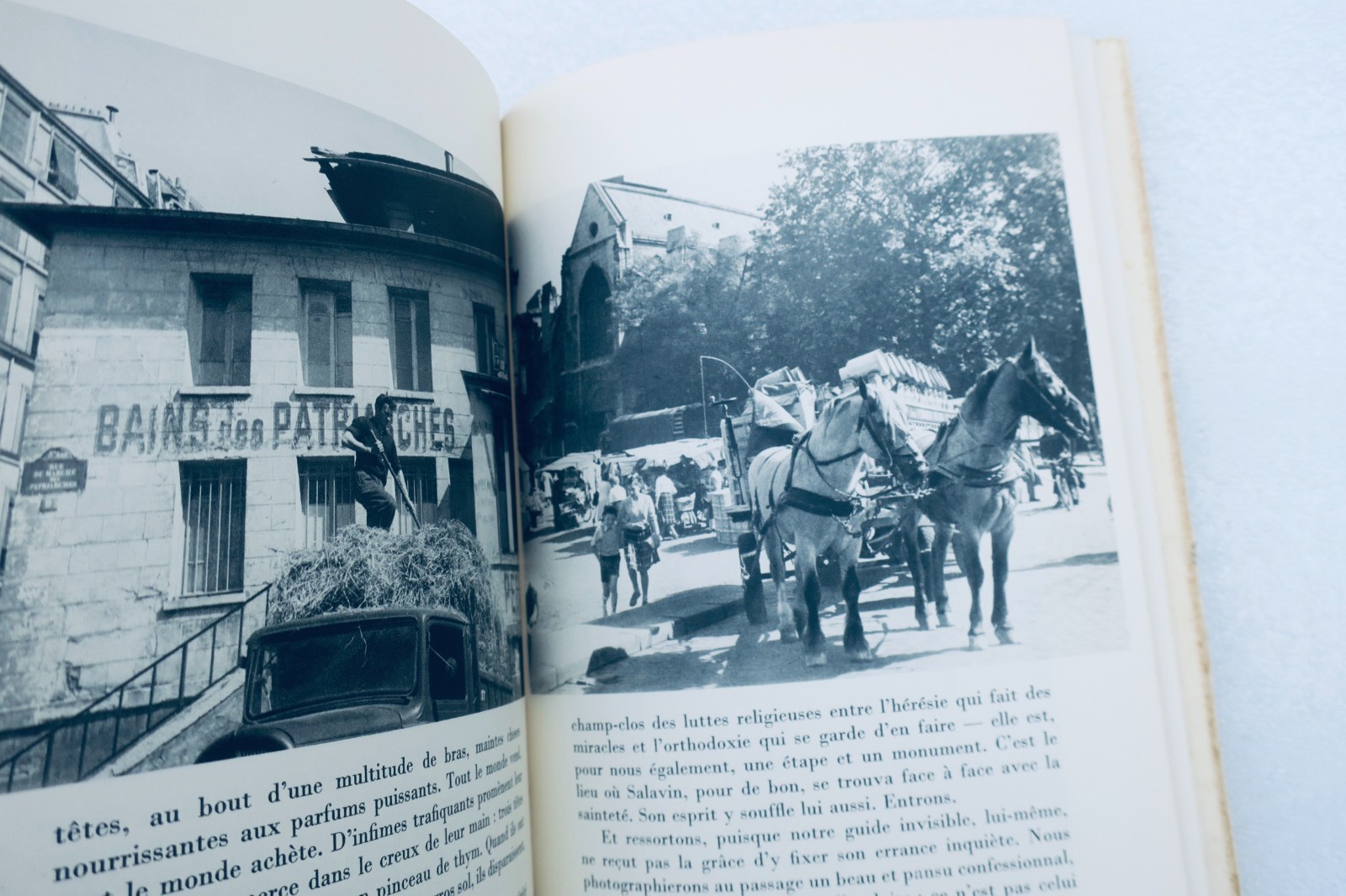 A Walk Through Paris with Salavin - Image 4