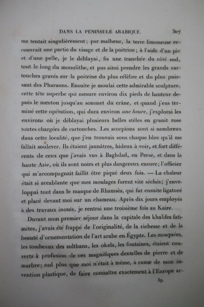 VOYAGE DANS LA PENINSULE ARABIQUE, DU SINAI, ET DE L’EGYPTE 1859
