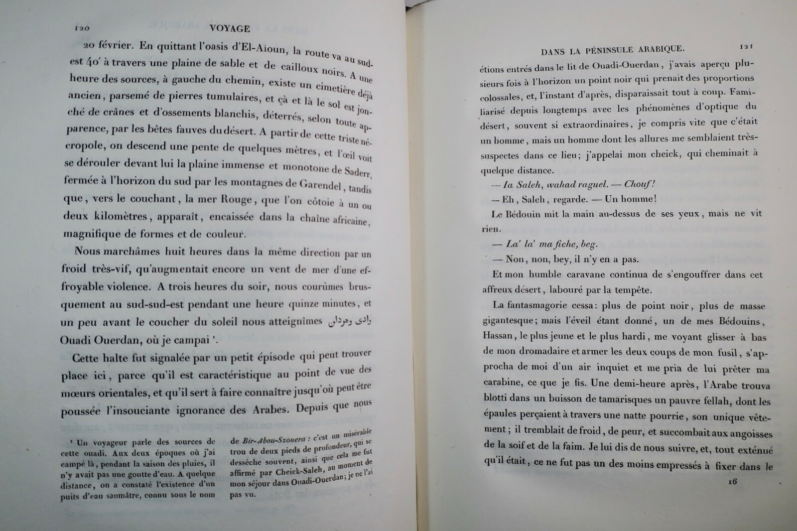 VOYAGE DANS LA PENINSULE ARABIQUE, DU SINAI, ET DE L'EGYPTE 1859 – Image 5