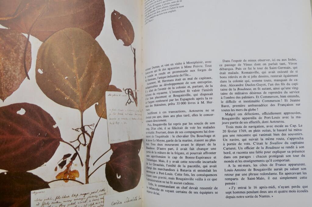 voyages de Bougainville. PACIFIQUE