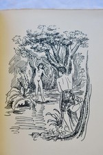Eine polynesische Liebesgeschichte - Image 6