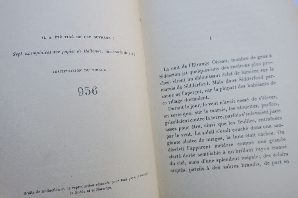The Wonderful Journey by H. G. WELLS