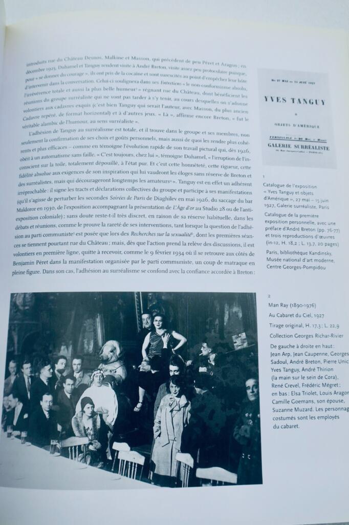 Surrealistisches Universum von Yves Tanguy