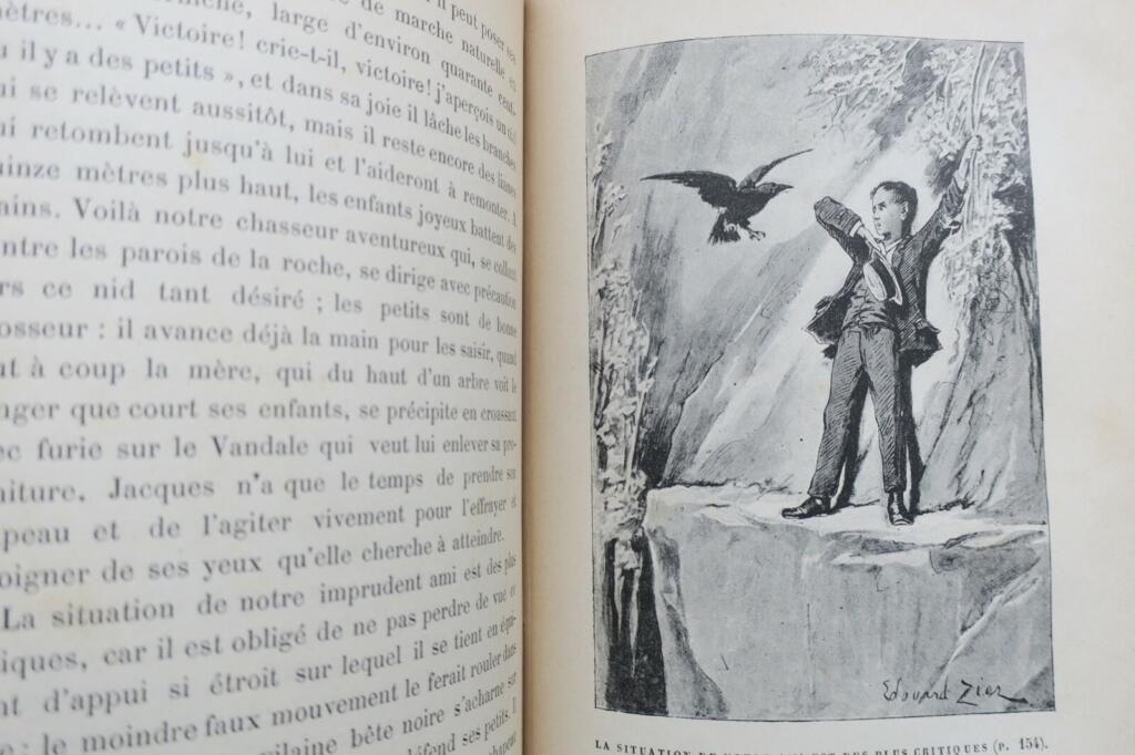 Ein bezauberndes Erzählen von Mademoiselle Palmyre