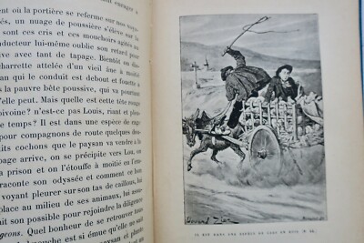 ZIER - Mademoiselle Palmyre Trymbalmouche – Image 8