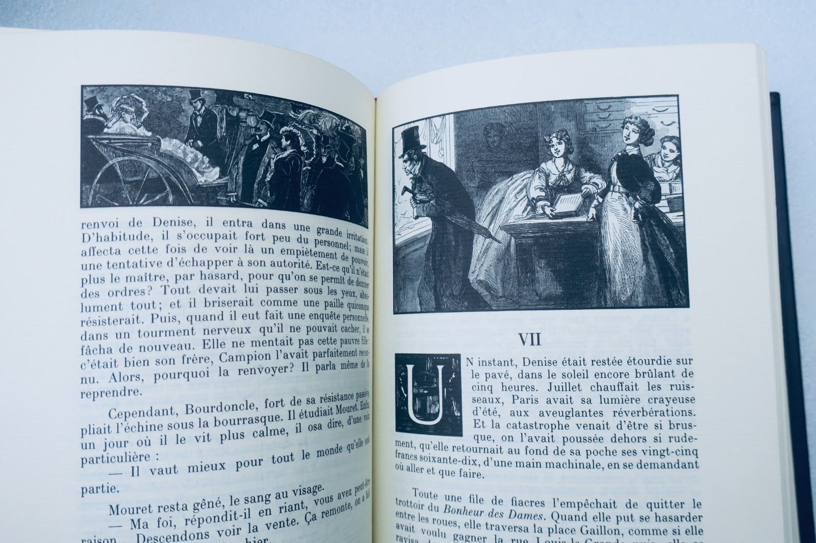 ZOLA Jean de Bonnot 20 volumes (complet) – Image 10