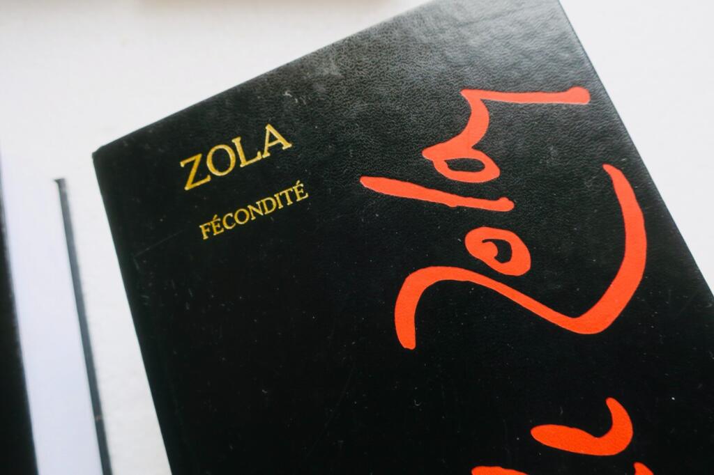 Sammlung von Zolas Hauptwerken