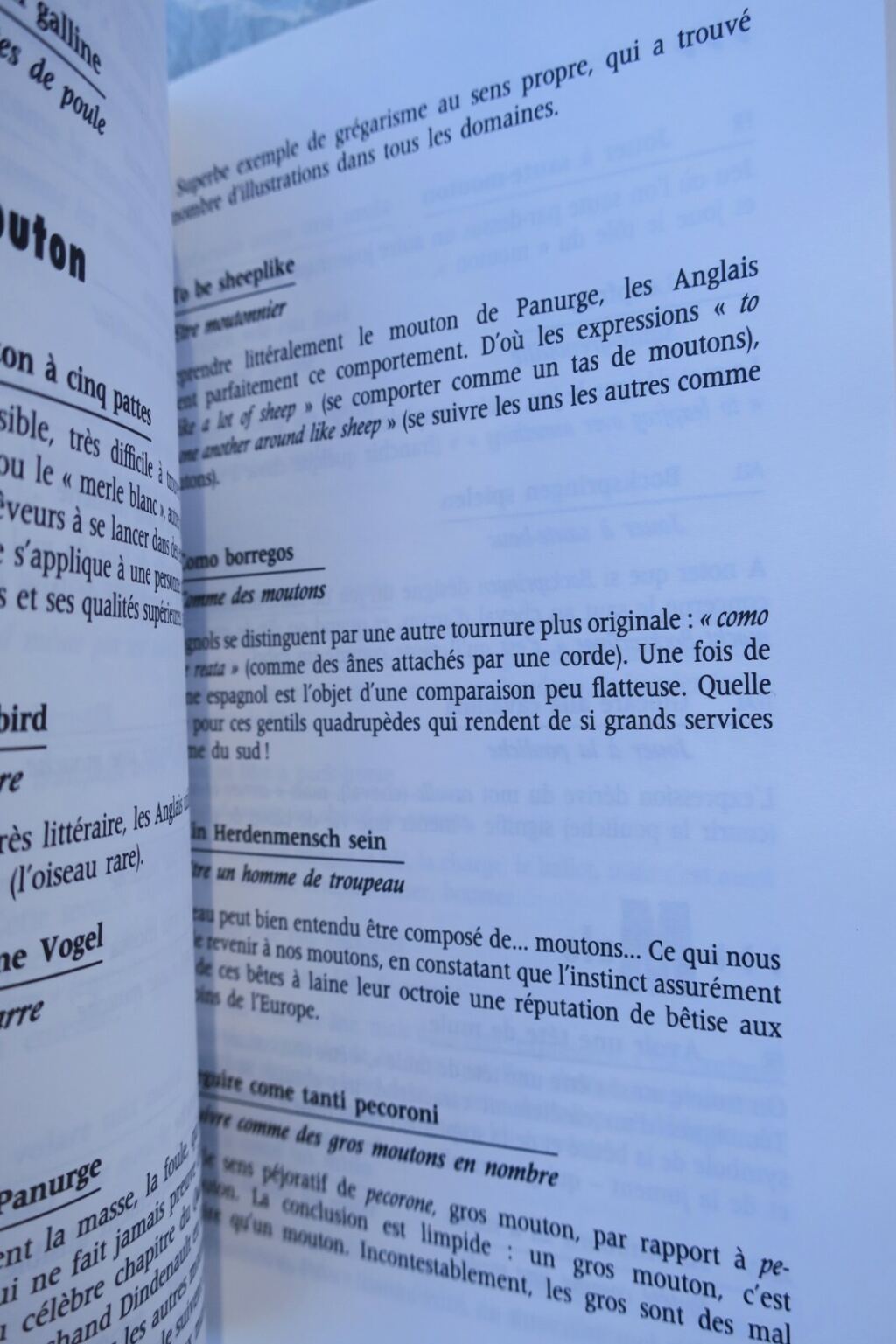 Tierwörterbuch: Tierische Ausdrücke Englisch/Spanisch/Deutsch