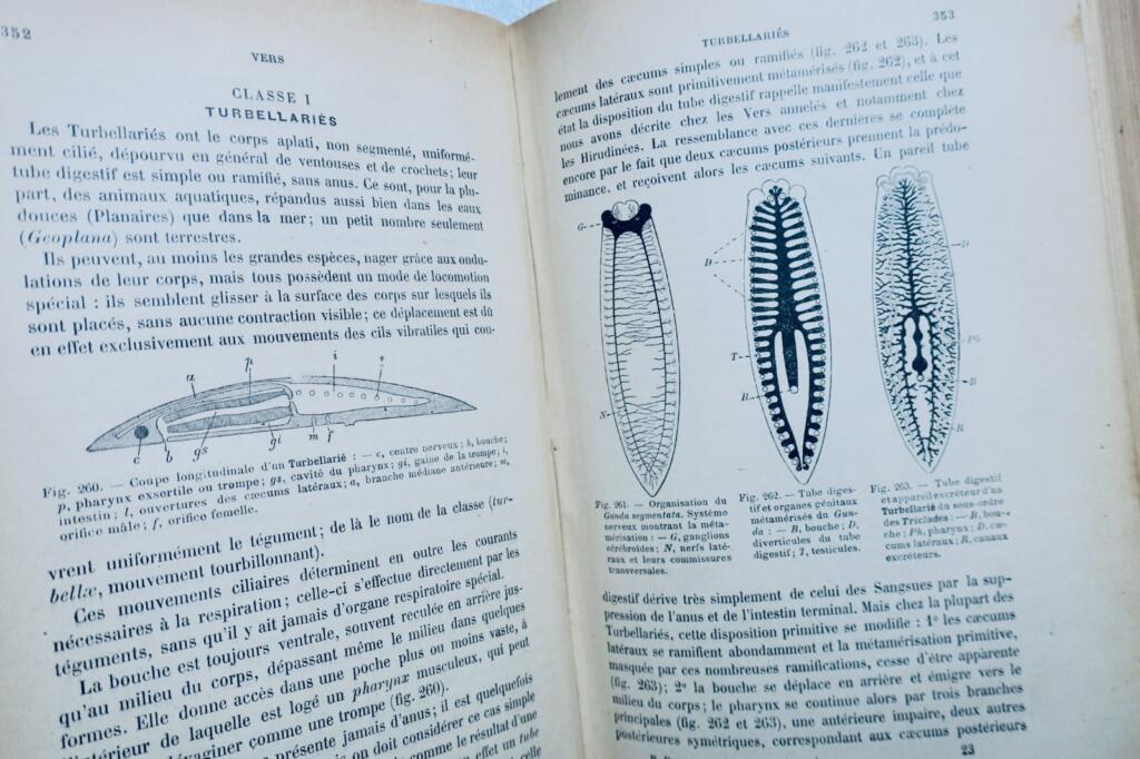 Basic Course in Zoology