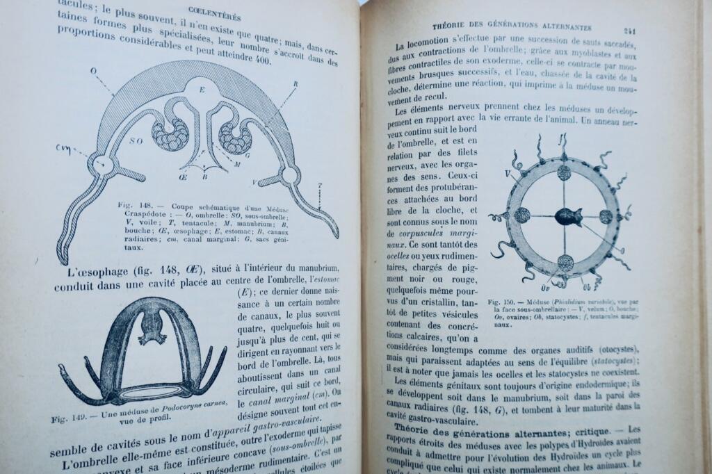 Basic Course in Zoology