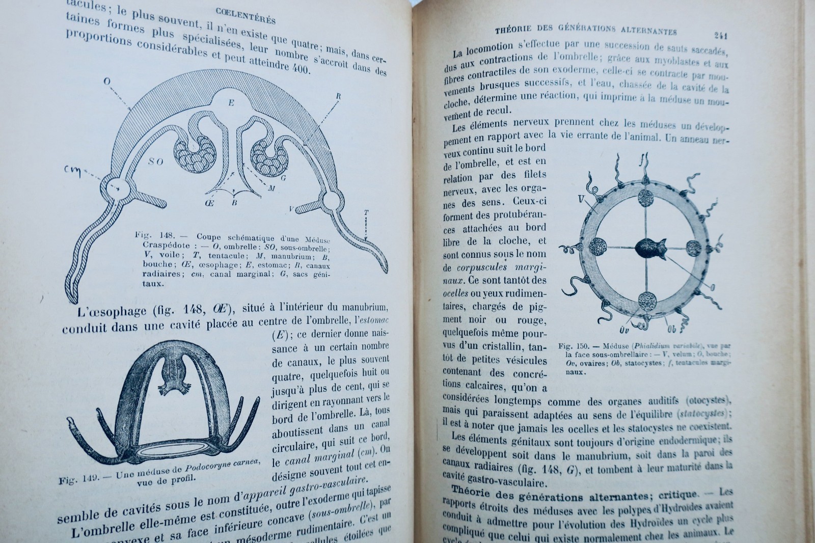 基礎的な動物学コース - Image 6