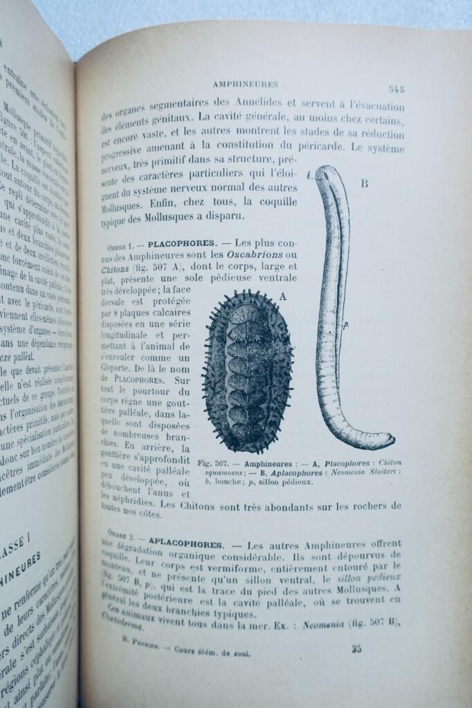 Basic Course in Zoology