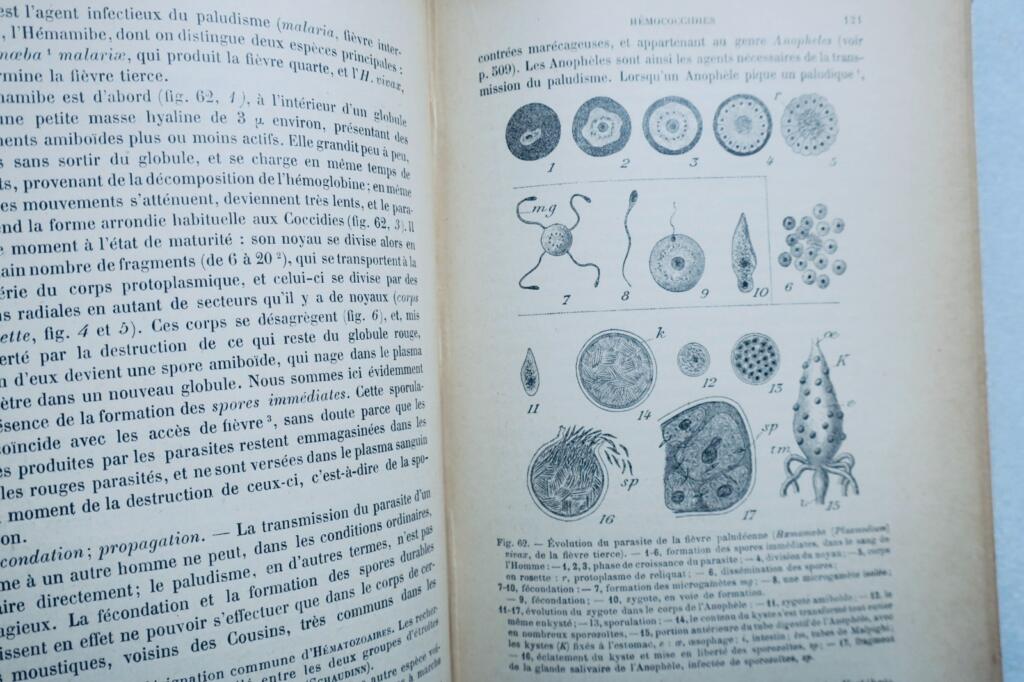 Basic Course in Zoology