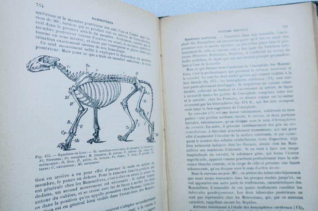 Basic Course in Zoology