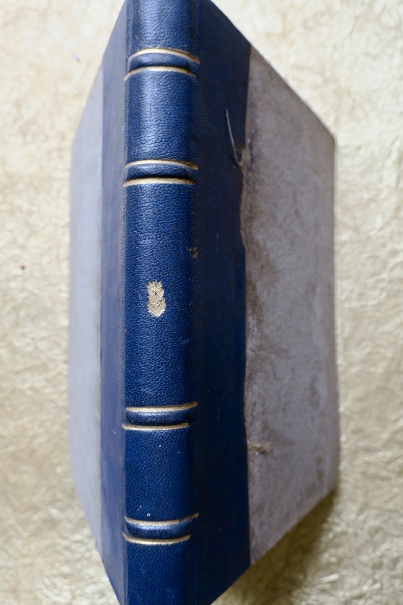 Zur Verherrlichung von Miguel de Cervantes