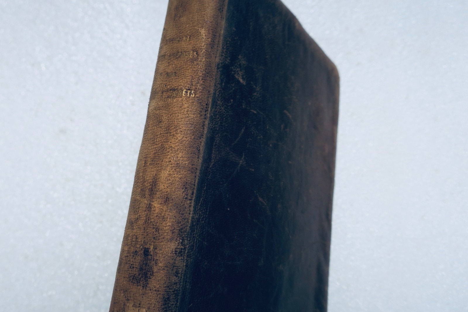 Wasser- und Forstbeamten-Jahrbuch 1914
