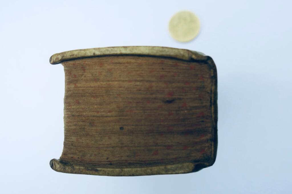 アフォリズミ・コンフェッサリオールム、1612年、98×54 mm