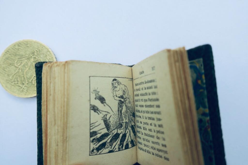 AULNOY. Fortunée. Illustrations by F. Régamey miniature 33 × 39 mm. 1896 mini