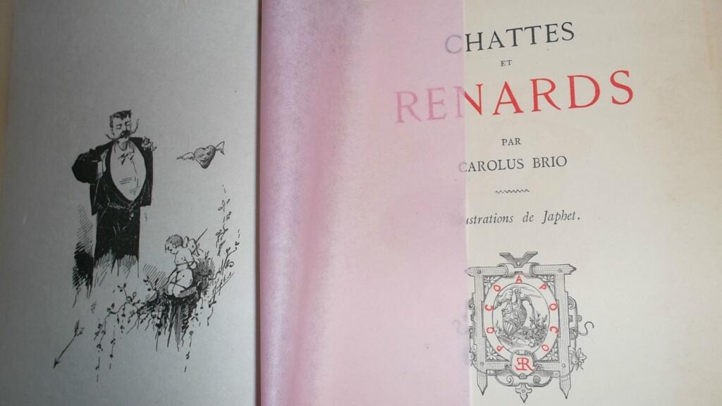 Chattes et renards 1883, illustré par Japhet Carolius Brio