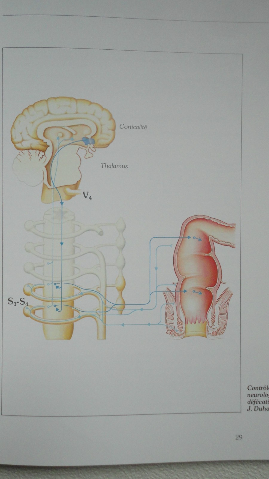 Practical Guide to Constipation