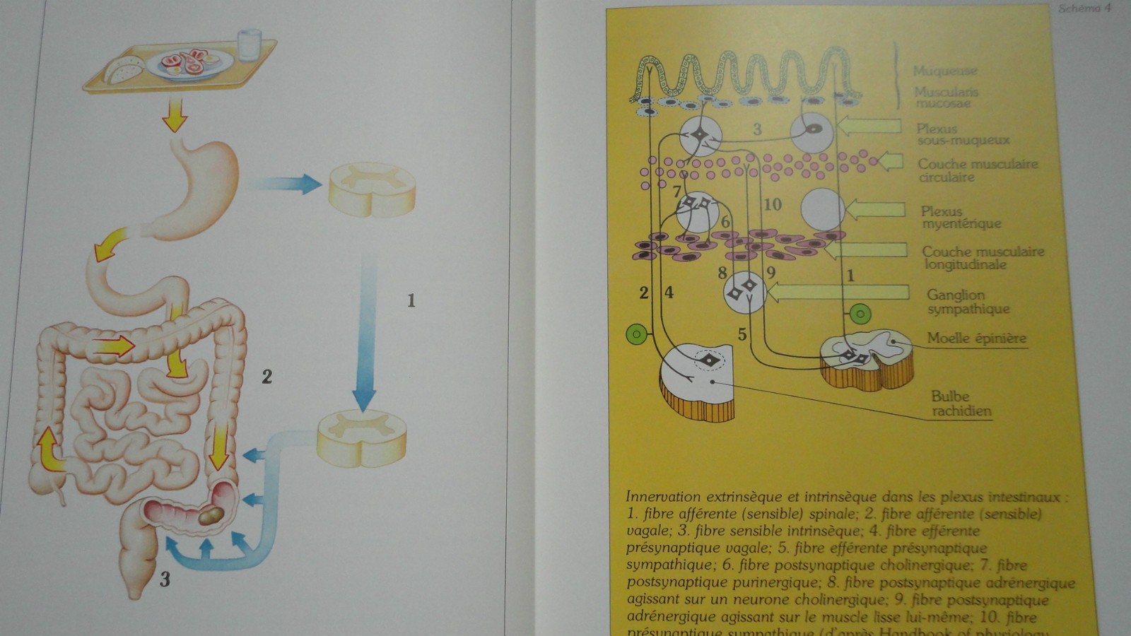 Practical Guide to Constipation