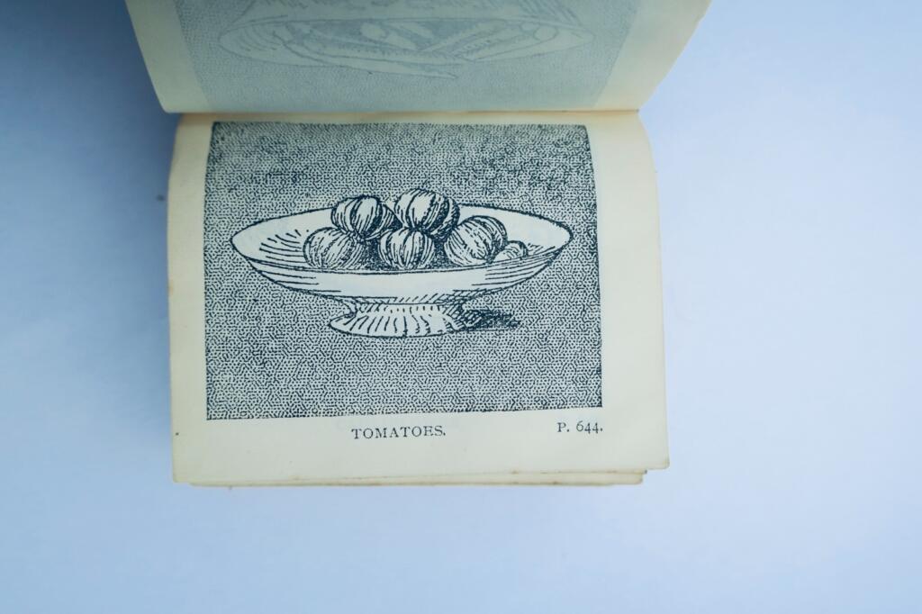 Küche Handbook of Practical Cookery by Matilda Lees Dods 1905 48 x 57 mm. mini