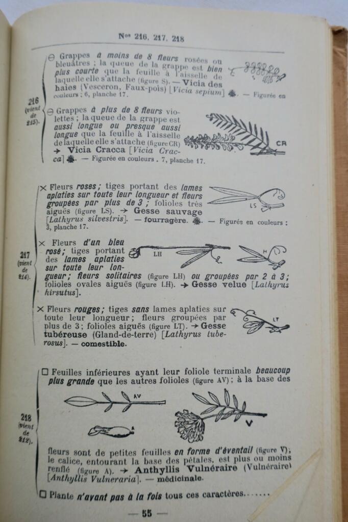 Jardin LA METHODE SIMPLE POUR TROUVER LES NOMS DES FLEURS