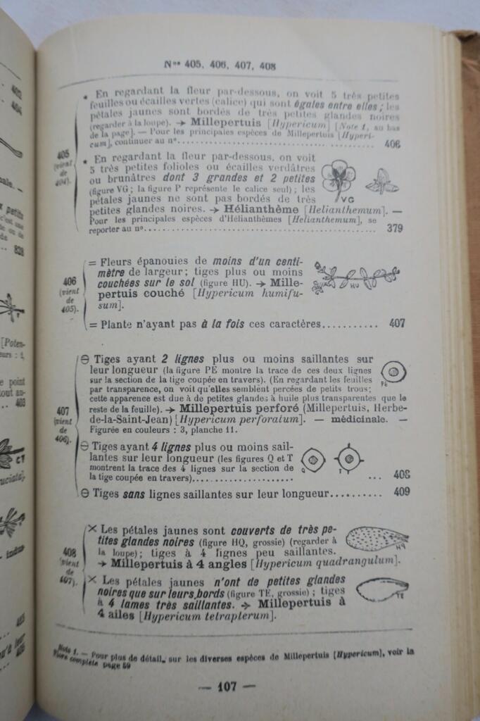 Jardin LA METHODE SIMPLE POUR TROUVER LES NOMS DES FLEURS