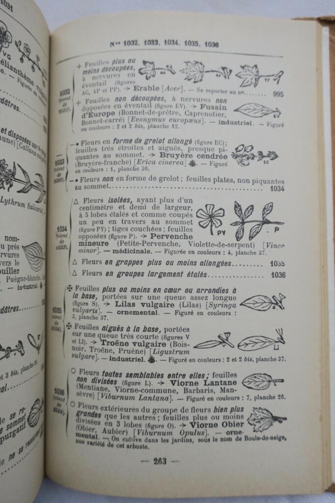Jardin LA METHODE SIMPLE POUR TROUVER LES NOMS DES FLEURS