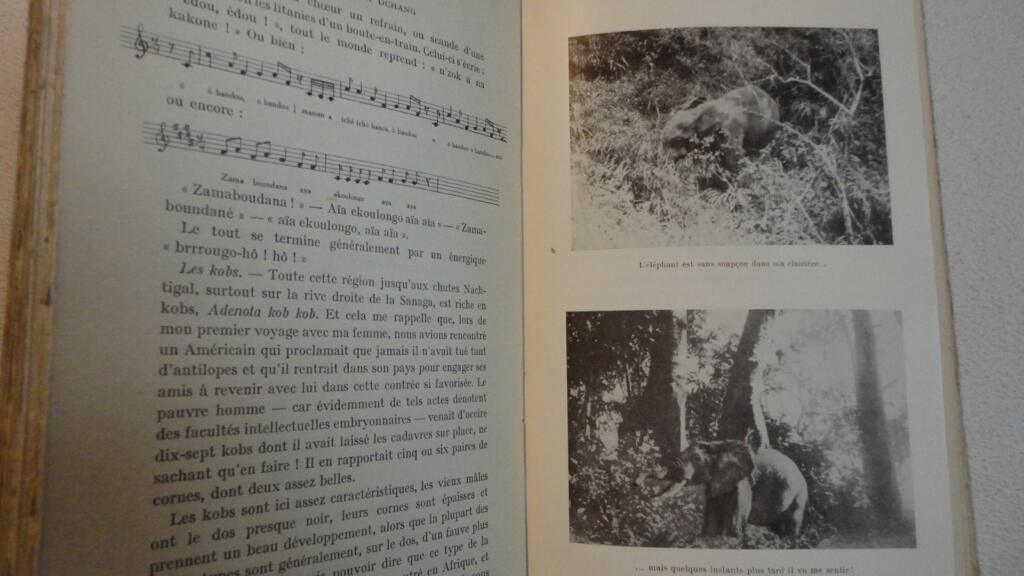 Die Lebensweise der wilden Tiere in Kamerun Dr. Gromier 1937