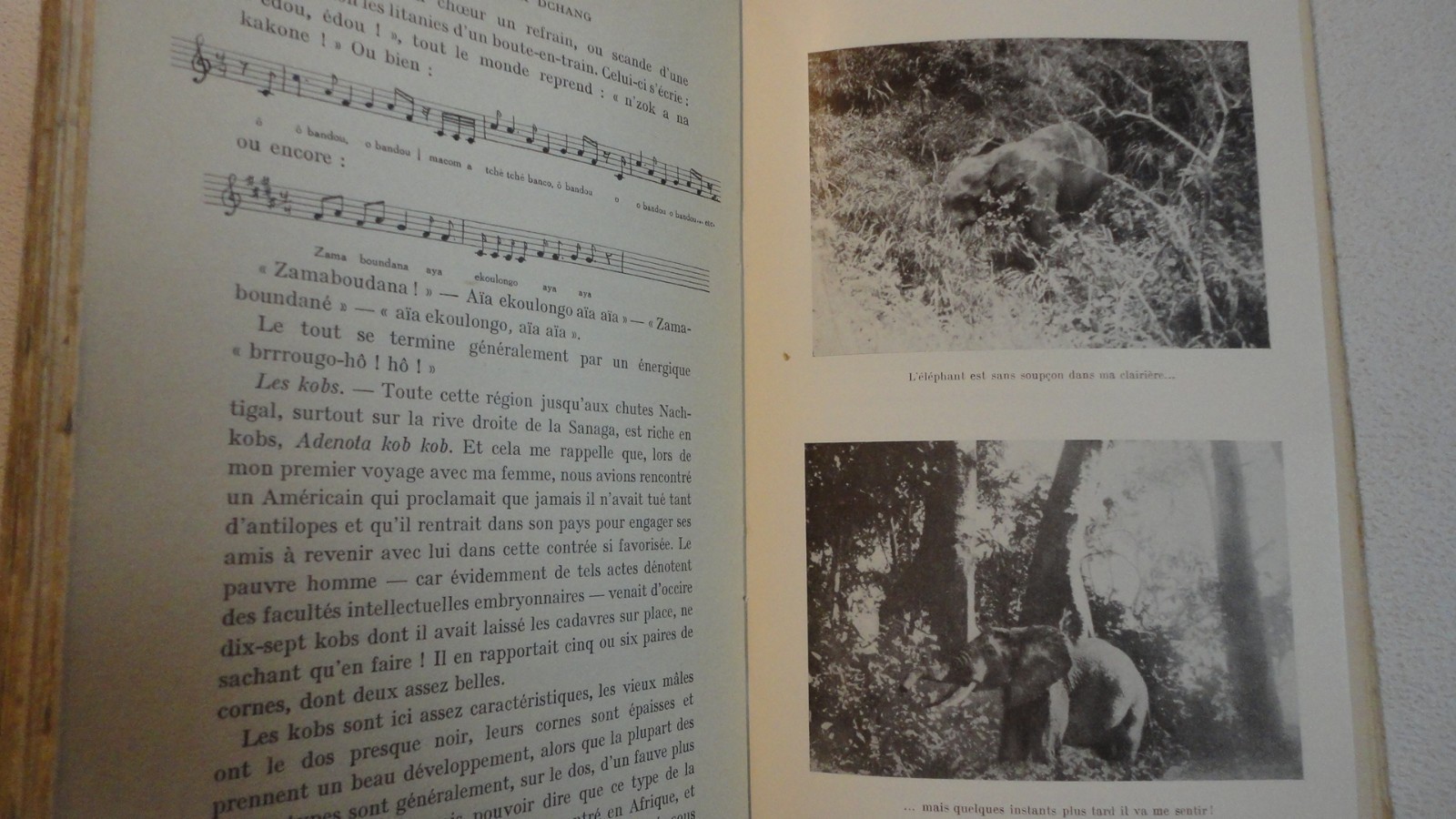 Leben der wilden Tiere in Kamerun – Dr. Gromier – 1937