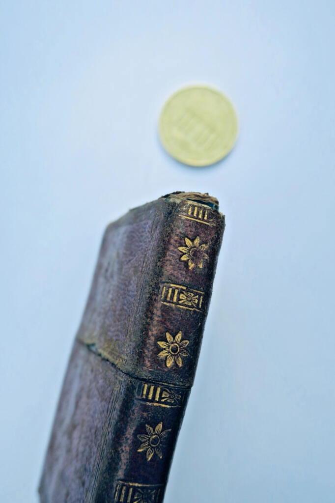 『心の神の寵児たちの牧歌的教え、あるいは優しさの学校』1795年