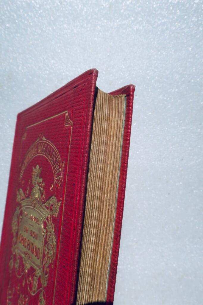 MARCEL JEANNE EIN GUTER DICKER KLOTZ – SAMMLUNG BIBLIOTHEQUE ROSE ILLUSTREE 1885