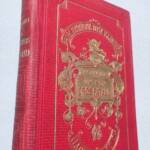 MARCEL JEANNE UN BON GROS PATAUD – COLLECTION BIBLIOTHEQUE ROSE ILLUSTREE 1885 - La Librairie Antique