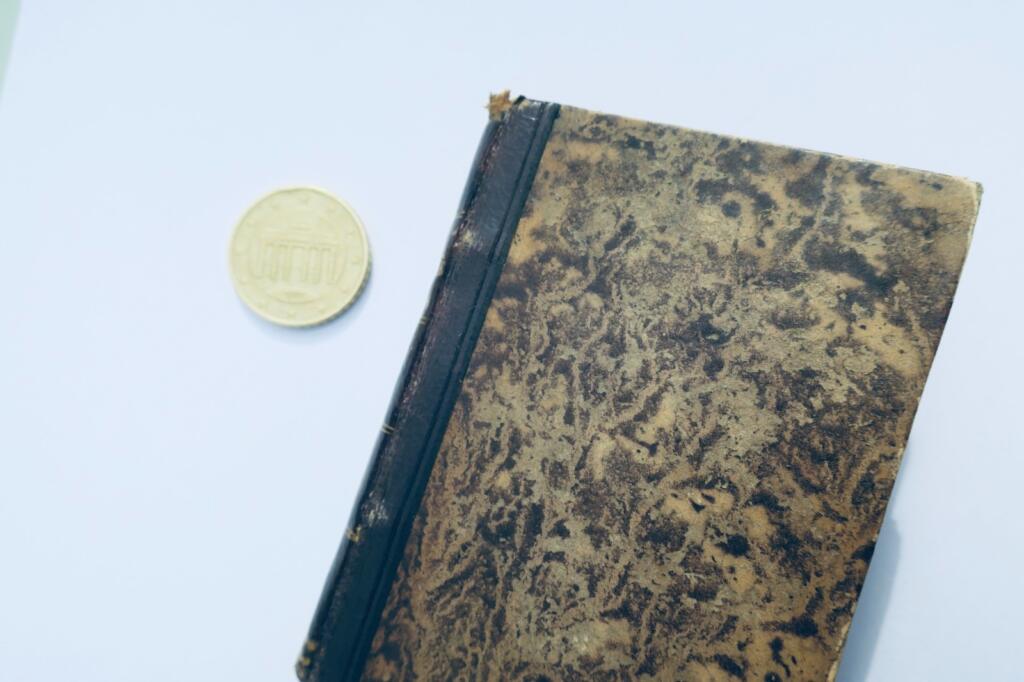 mini LA FONTAINE Die Lieben von Psyche und Amor, mit dem Gedicht von Adonis 1801