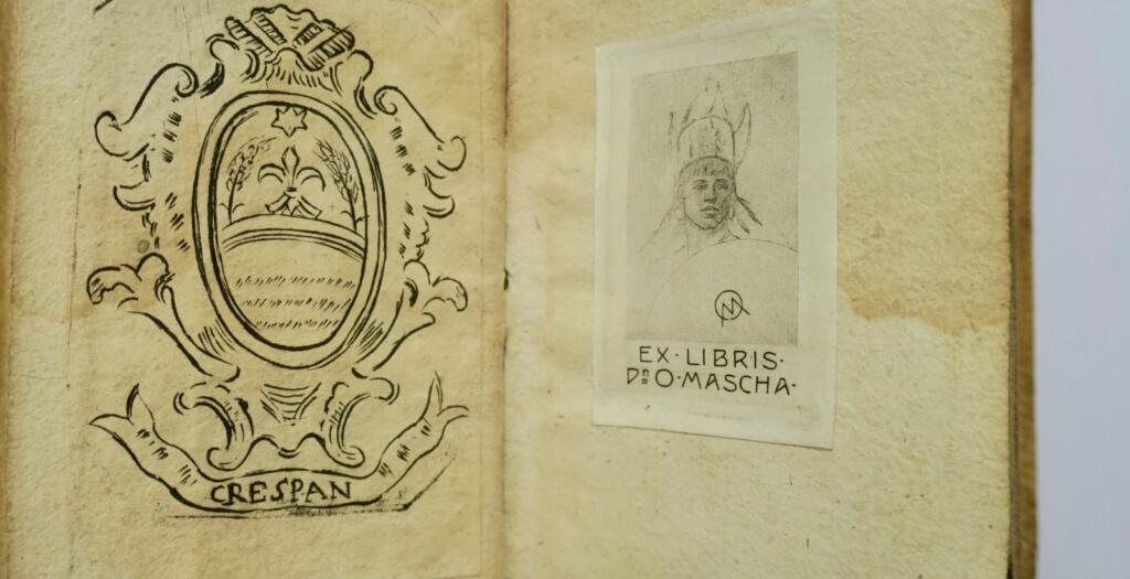 Minuskelschrift M. Val. Martialis epigrammata ex museo Petri Scriverii 1639 56 x 112 m
