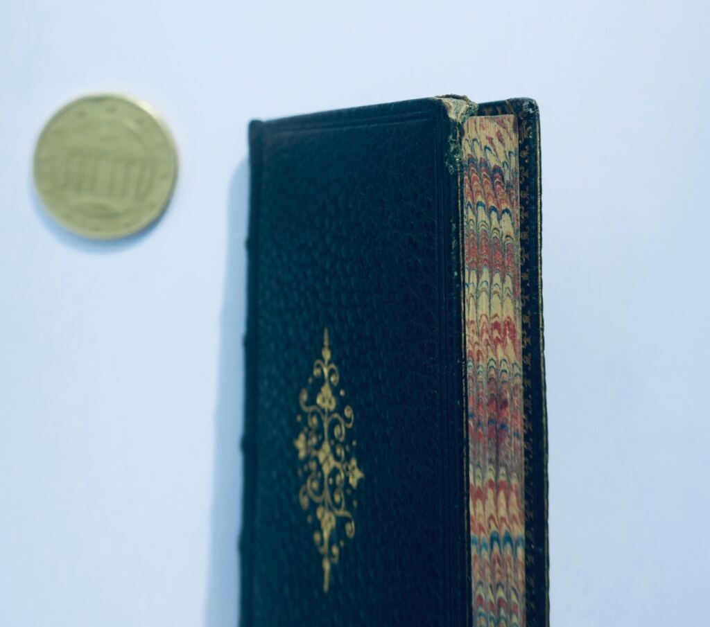 minuskel Terenz 1822 52 × 84 mm