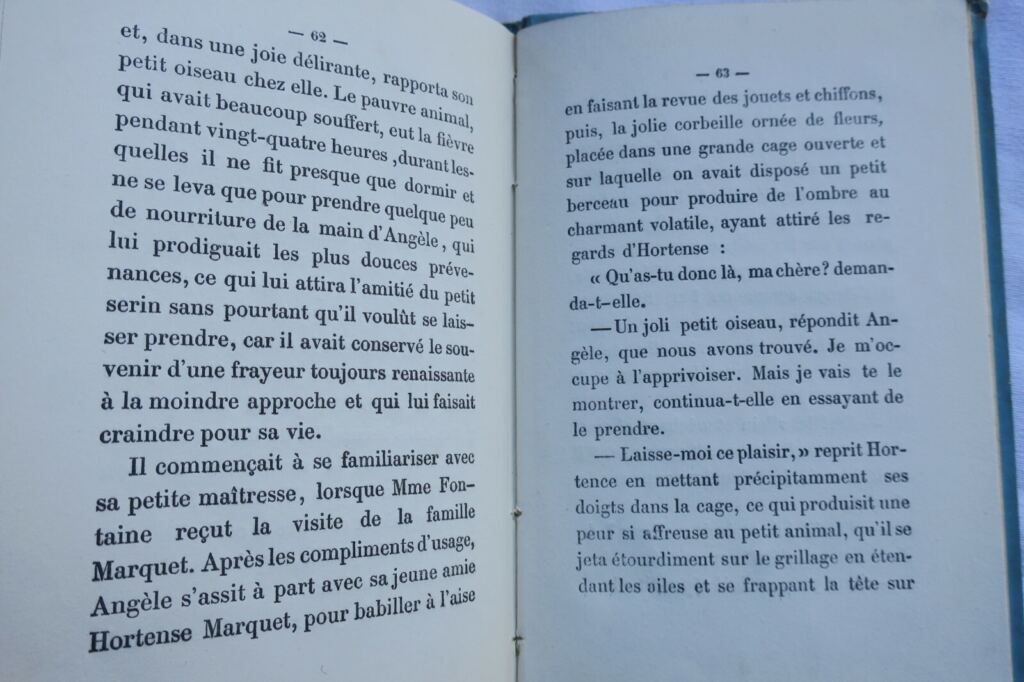 MME DUMONT MÉLANIE LE REMPAILLEUR DE CHAISES