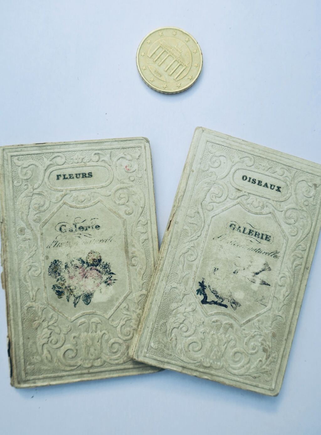oiseaux fleurs Petite galerie d&rsquo;histoire naturelle Fleurs miniature & romantique