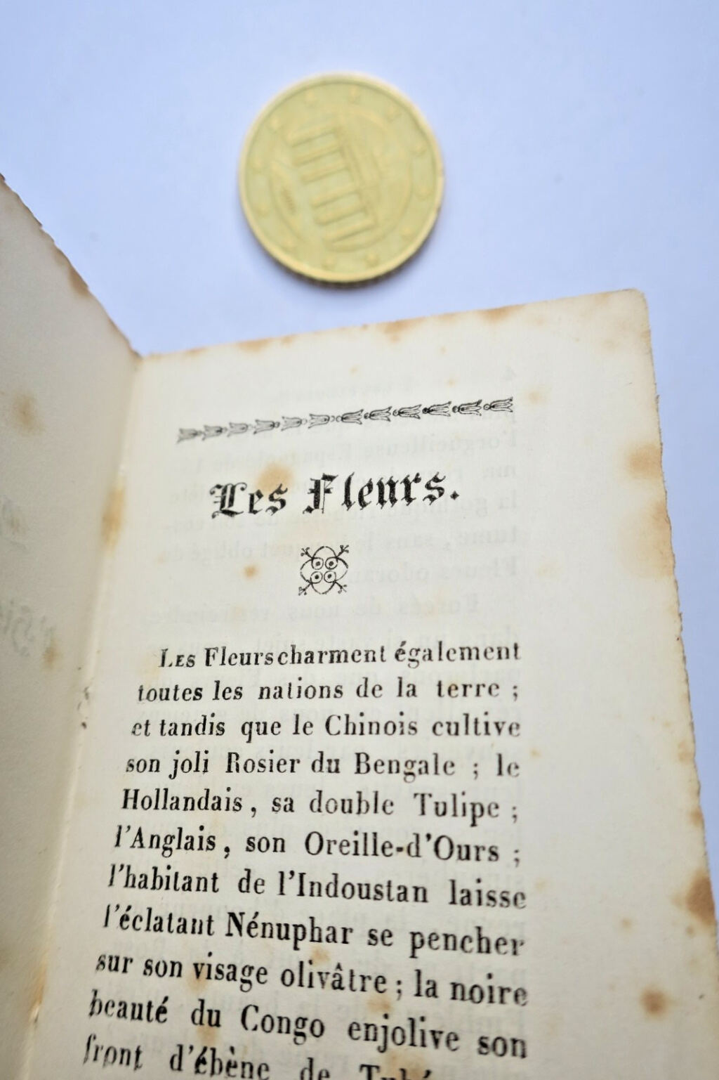 oiseaux fleurs Petite galerie d&rsquo;histoire naturelle Fleurs miniature & romantique