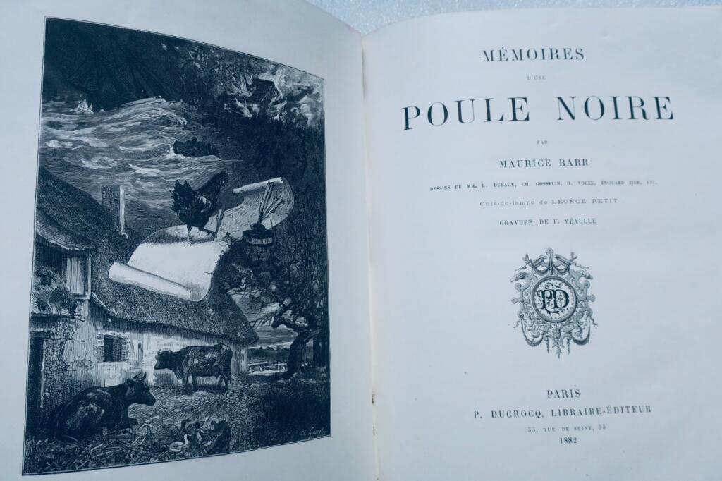 poule Mémoires d’une poule noire illus-Vogel, Zier…