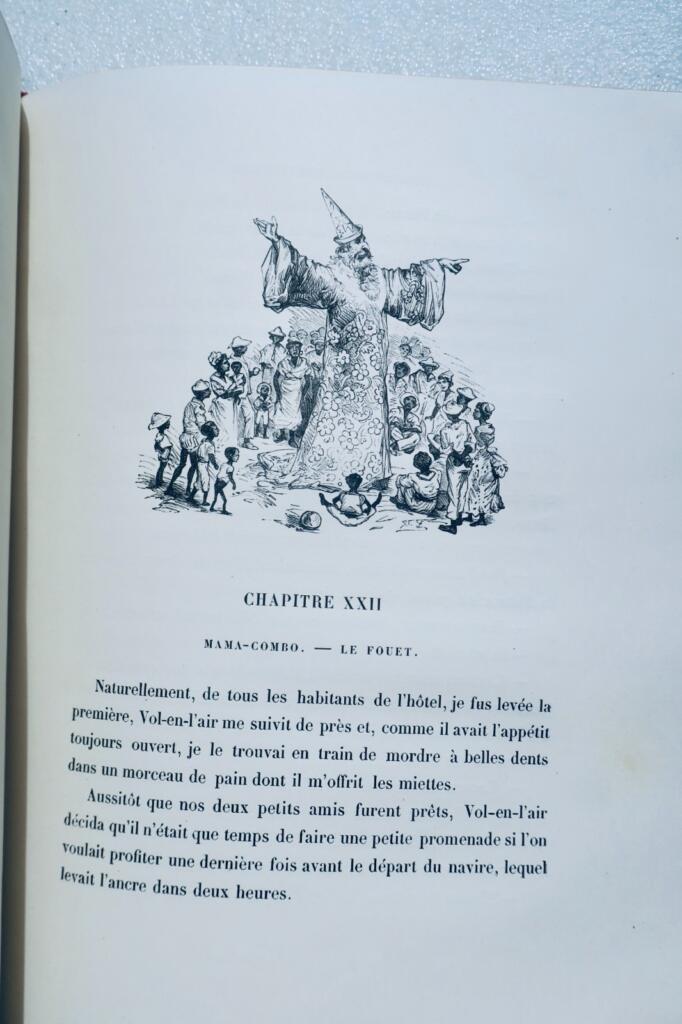 poule Mémoires d’une poule noire illus-Vogel, Zier…